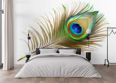 A Single Peacock Feather Isolated on White Background Wall mural