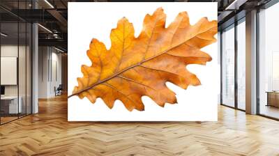 Close-up of autumn oak leaf with vibrant fall colors Wall mural