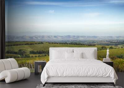 McLaren Vale vineyard and horizon in the afternoon Wall mural