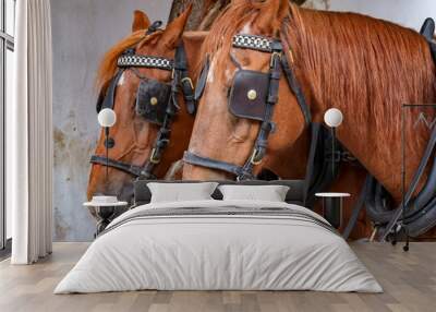 Horses towing a tourist carriage Wall mural