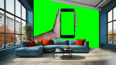 Man's hand shows mobile smartphone with green screen Wall mural