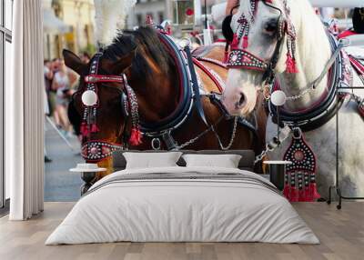 Historic Old Town Krakow. Horse and Carriage Tours.      Wall mural