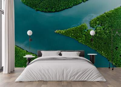 View from above, aerial shot, stunning view of Ao Phang Nga (Phang Nga Bay) National Park with a river flowing through a mangrove forest Thailand. Wall mural