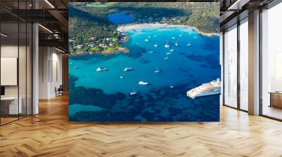 View from above, stunning aerial view of the Grande Pevero beach with boats and luxury yachts sailing on a turquoise, clear water. Sardinia, Italy. Wall mural