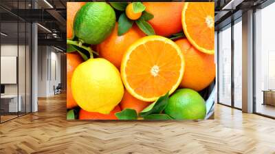 Oranges, lemon,grapefruit, lime, mandarin, kumquats fruits Wall mural