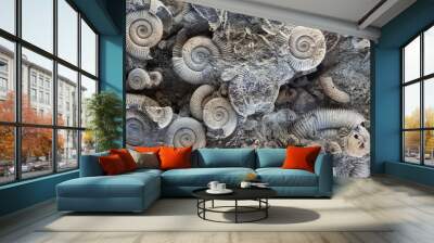 Ancient marine life animal fossils Wall mural