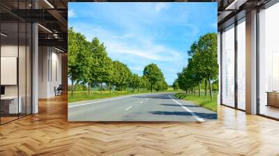 driving along an alley in rural landscape near Kirchheim Wall mural