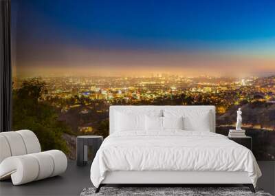 scenic aerial view to skyline of San Francisco Wall mural