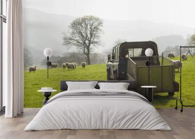 Healthy sheep and livestock, Idyllic Rural, UK Wall mural