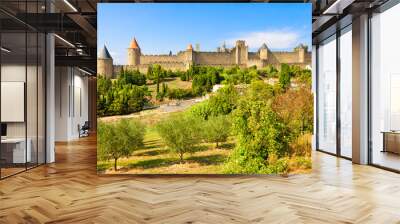 carcassonne, france Wall mural