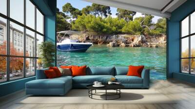 Landscape in the Sainte Marguerite island, Lerins islands, South of France Wall mural