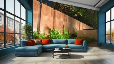 Soft shadows casting onto a landscaped wall with nice mood lighting in the evening near the swimming pool.  Nice design and layout with green grass and plants near lush trees. Wall mural