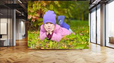 Adorable little girl outdoors at beautiful autumn day Wall mural