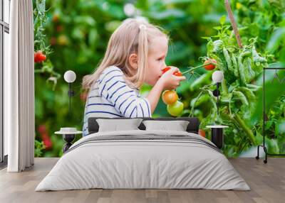 Adorable little girl smelling cucumbers and tomatoes in greenhouse. Season of ripening vegetables in green houses. Wall mural