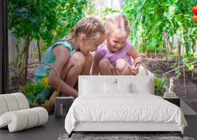 Cute little girls collect crop cucumbers in the greenhouse Wall mural