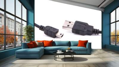 usb cable on an isolated white background Wall mural