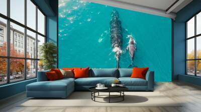 whale swim in ocean mother and his child Wall mural