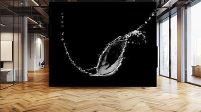 water splash isolated on black background Wall mural