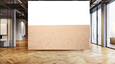 Dry desert lake bed with cut out background.   Wall mural