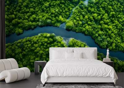 Stunning aerial shot capturing the vastness of an endless green forest and the winding river that cuts through it Wall mural