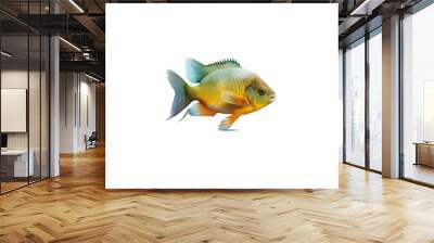 Close-up of a fish. Isolated on transparent background Wall mural