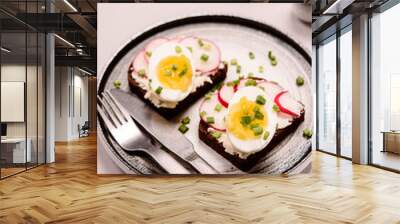 Savory smorrebrod, two traditional Danish open sandwiches. Black rye bread with radish, eggs, cream cheese and green onion on a plate on grey concrete background. Selective focus Wall mural