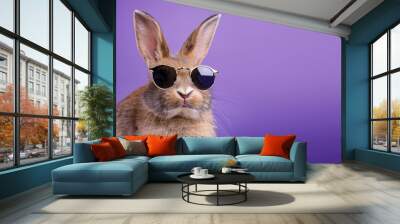 happy easter bunny with sunglasses on purple background Wall mural