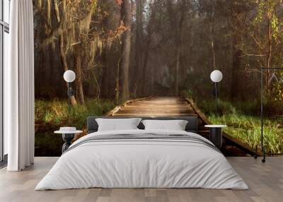 Admiring morning sun rays highlighting a boardwalk in a foggy Louisiana swamp land. Wall mural