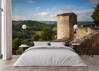 Beautiful shot of a stone tower and tree-covered fields in Puycelci, France Wall mural