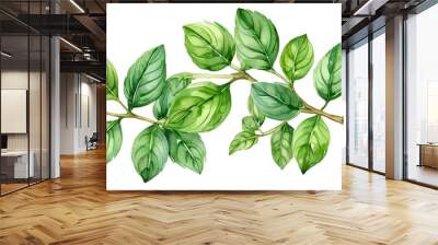 Basil leaves isolated on white background2 Wall mural