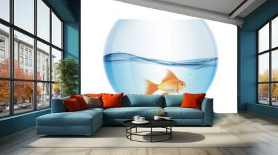 Goldfish floats in a aquarium Wall mural