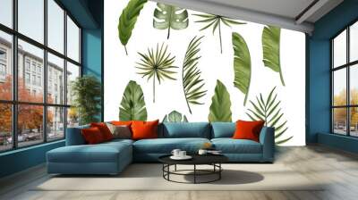 Realistic colorful tropical monstera, banana palm leaves and monstera vector set. Jungle botanical summer collection. Exotic green nature wallpaper. Wall mural