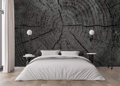 Grunge rough texture, wood texture. Naturally aged plank. Aged, rustic gray dark pine wood texture. Wall mural