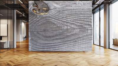 Wood texture. Old weathered board. Dark wood texture background surface with old natural pattern Wall mural