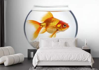 goldfish in a bowl Wall mural