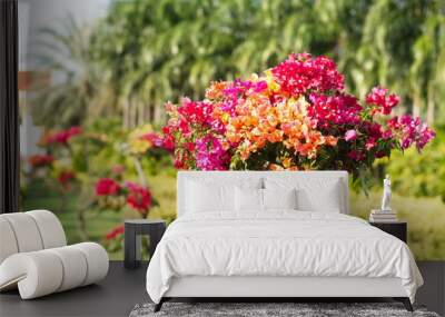 Flower.
Flower in the garden.

 Wall mural