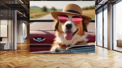 Cute funny dog in sunglasses and summer hat on the road trip peeking from car while traveling on sunny summer day Wall mural