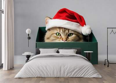 Cute little cat peeking out of the gift box, thoughtful Christmas and New Year gift concept. Wall mural