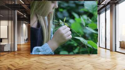 Cute little girl exploring nature. Child playing outdoors.  Wall mural