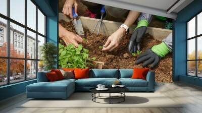 Group of people working in the greenhouse vegetable garden. Healthy organic food production , local farmer markets and sustainability concept. Wall mural