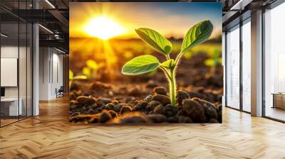 A young plant reaches for the golden rays of the setting sun, symbolizing growth, resilience, and the promise of a bright future. Wall mural