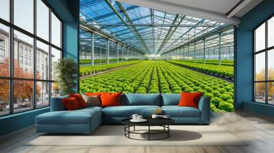 Modern greenhouse filled with lush green lettuce plants, greenhouse, modern, lettuce, growth, agriculture Wall mural