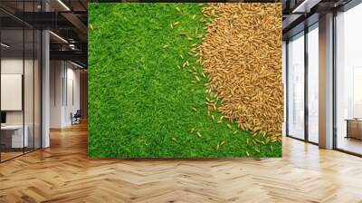 Top view of dry lawn grass seed background, perfect for gardening and landscaping projects, lawn grass, seeds Wall mural