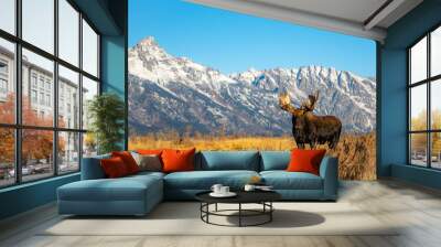 Moose in the mountains Wall mural