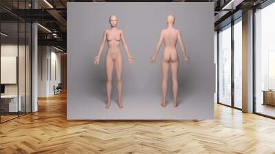 3D Render :a  standing female body illustration with silicone texture display Wall mural