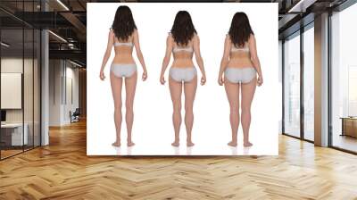 3D Rendering : standing female body type illustration : ectomorph (skinny type), mesomorph (muscular type), endomorph(heavy weight type) Wall mural