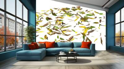 3d illustration of dried leaves isolated on transparent background eyes human view Wall mural