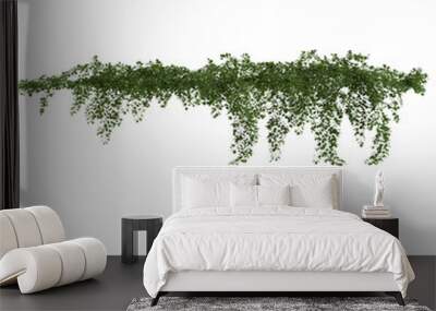 3d illustration of hanging plant isolated on white background Wall mural