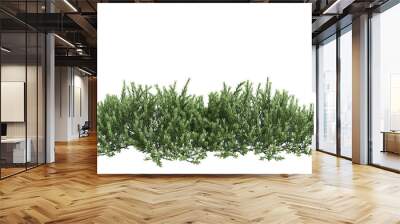 3d illustration of Myoporum Parvifolium bush isolated on transparent background Wall mural