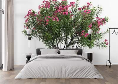 3d illustration of nerium oleander tree isolated on transparent background Wall mural